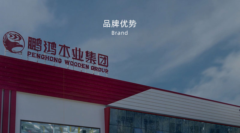 板材品牌、全屋定制品牌、生態板十大品牌